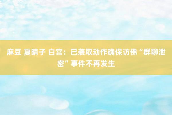 麻豆 夏晴子 白宫：已袭取动作确保访佛“群聊泄密”事件不再发生