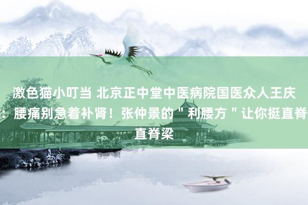 激色猫小叮当 北京正中堂中医病院国医众人王庆国：腰痛别急着补肾！张仲景的＂利腰方＂让你挺直脊梁