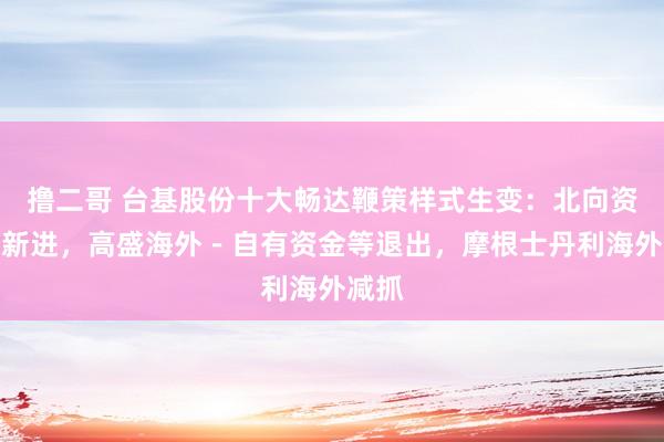 撸二哥 台基股份十大畅达鞭策样式生变：北向资金等新进，高盛海外－自有资金等退出，摩根士丹利海外减抓