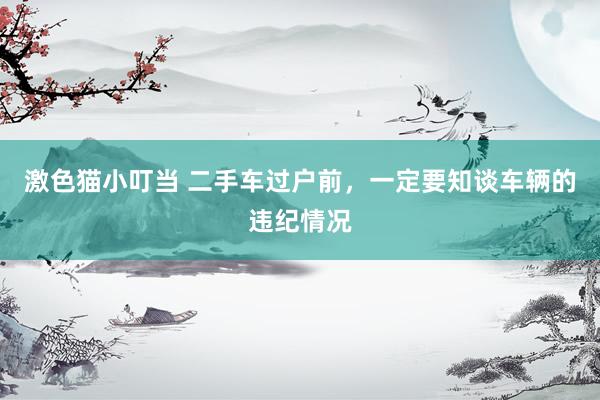 激色猫小叮当 二手车过户前，一定要知谈车辆的违纪情况