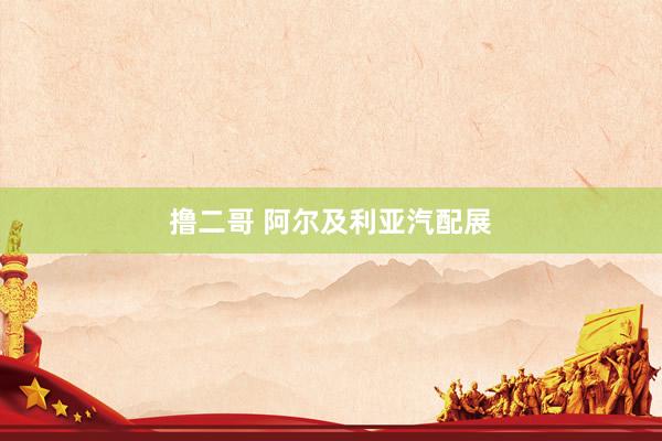 撸二哥 阿尔及利亚汽配展