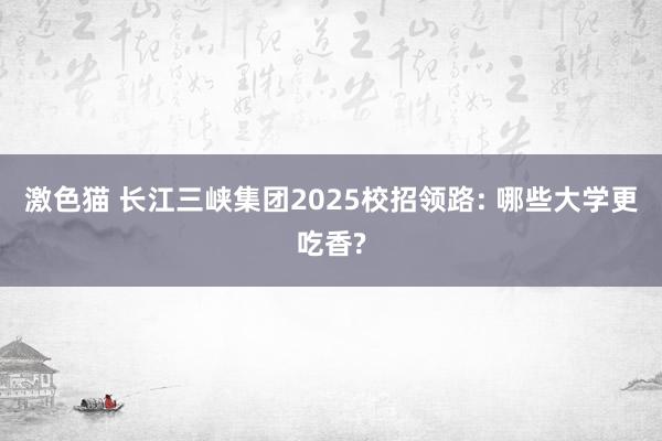 激色猫 长江三峡集团2025校招领路: 哪些大学更吃香?