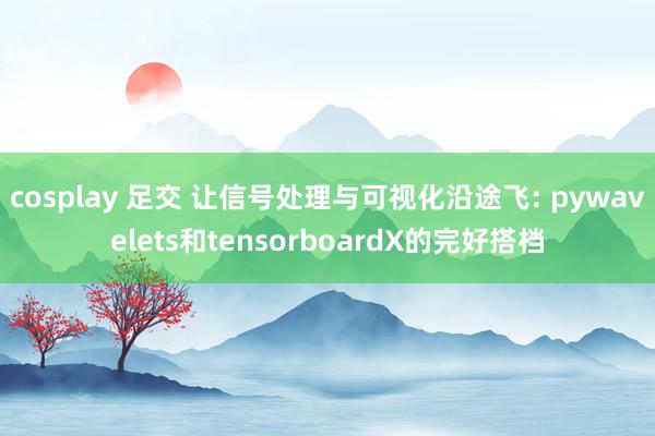 cosplay 足交 让信号处理与可视化沿途飞: pywavelets和tensorboardX的完好搭档