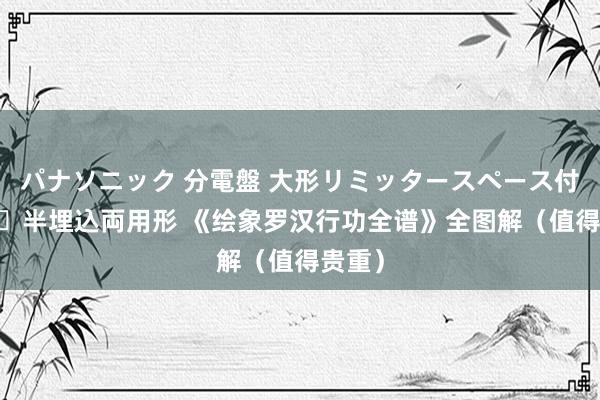 パナソニック 分電盤 大形リミッタースペース付 露出・半埋込両用形 《绘象罗汉行功全谱》全图解（值得贵重）